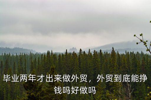 2016年外貿做什么好呢,做外貿10年了