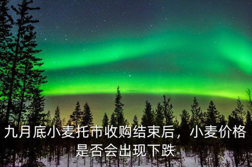 九月底小麥托市收購結(jié)束后，小麥價格是否會出現(xiàn)下跌