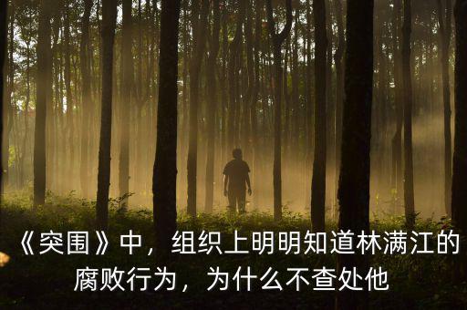 《突圍》中，組織上明明知道林滿江的腐敗行為，為什么不查處他