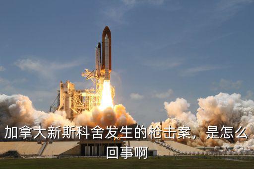 加拿大新斯科舍發(fā)生的槍擊案，是怎么回事啊