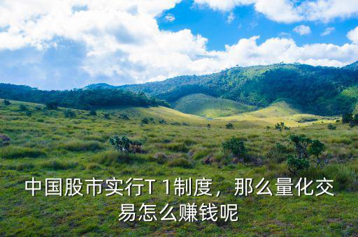 中國股市實行T 1制度，那么量化交易怎么賺錢呢
