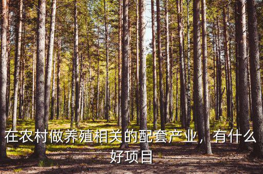在農(nóng)村做養(yǎng)殖相關(guān)的配套產(chǎn)業(yè)，有什么好項(xiàng)目