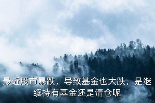 最近股市暴跌，導(dǎo)致基金也大跌，是繼續(xù)持有基金還是清倉呢