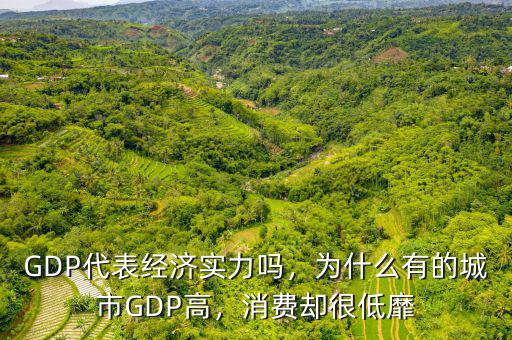 GDP代表經(jīng)濟(jì)實力嗎，為什么有的城市GDP高，消費(fèi)卻很低靡