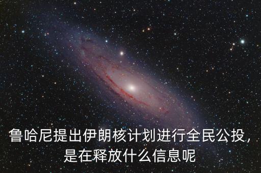 魯哈尼提出伊朗核計(jì)劃進(jìn)行全民公投，是在釋放什么信息呢