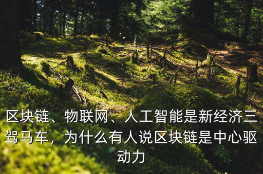 區(qū)塊鏈、物聯(lián)網(wǎng)、人工智能是新經(jīng)濟(jì)三駕馬車，為什么有人說區(qū)塊鏈?zhǔn)侵行尿?qū)動力