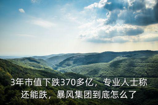 3年市值下跌370多億，專業(yè)人士稱還能跌，暴風(fēng)集團(tuán)到底怎么了