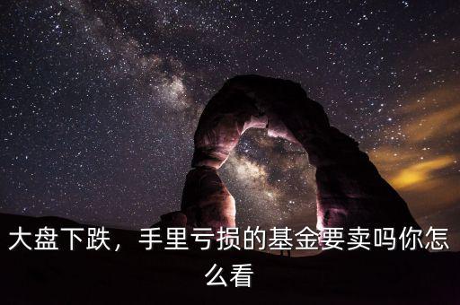 大盤(pán)跌買(mǎi)什么基金,大盤(pán)大跌的當(dāng)天買(mǎi)基金對(duì)嗎