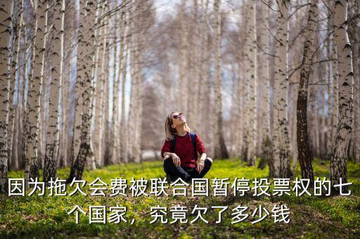 因?yàn)橥锨窌M(fèi)被聯(lián)合國暫停投票權(quán)的七個國家，究竟欠了多少錢