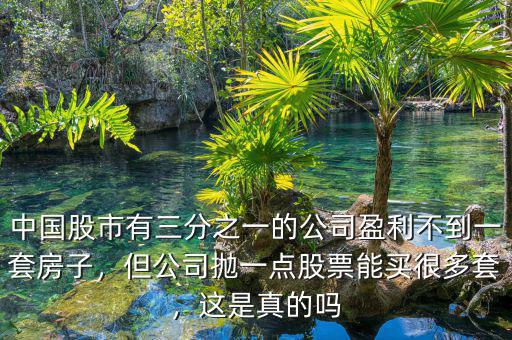 中國股市有三分之一的公司盈利不到一套房子，但公司拋一點股票能買很多套，這是真的嗎
