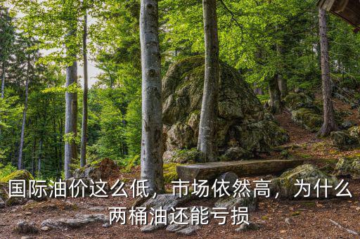 國際油價這么低，市場依然高，為什么兩桶油還能虧損