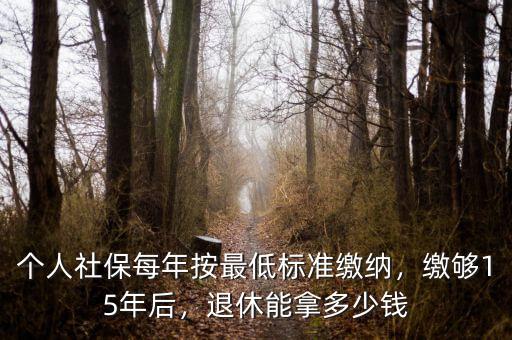 個人社保每年按最低標(biāo)準(zhǔn)繳納，繳夠15年后，退休能拿多少錢