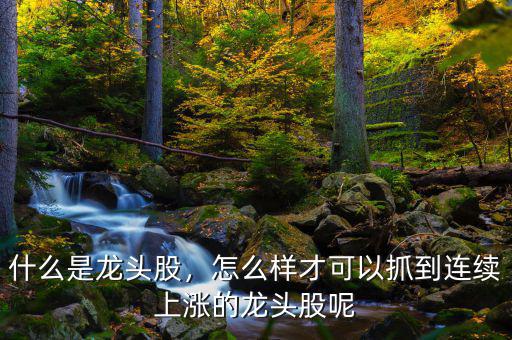 什么是龍頭股，怎么樣才可以抓到連續(xù)上漲的龍頭股呢