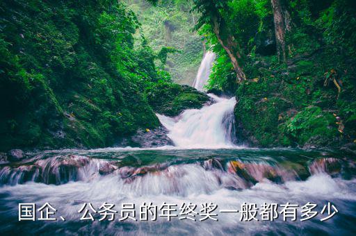 國企、公務(wù)員的年終獎一般都有多少