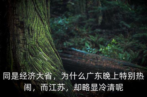 同是經(jīng)濟大省，為什么廣東晚上特別熱鬧，而江蘇，卻略顯冷清呢