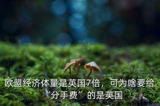 歐盟經(jīng)濟(jì)體量是英國7倍，可為啥要給“分手費”的是英國