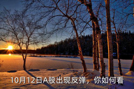 10月12日A股出現(xiàn)反彈，你如何看