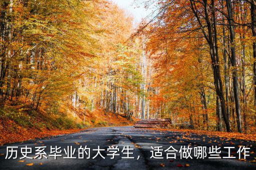 歷史系畢業(yè)的大學(xué)生，適合做哪些工作