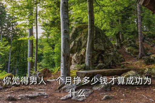 你覺(jué)得男人一個(gè)月掙多少錢才算成功為什么