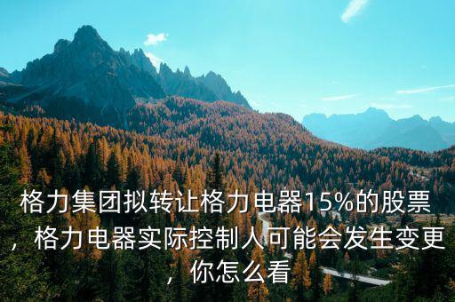 格力集團擬轉(zhuǎn)讓格力電器15%的股票，格力電器實際控制人可能會發(fā)生變更，你怎么看