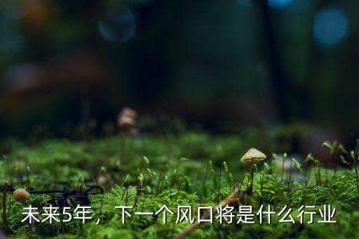 未來5年，下一個(gè)風(fēng)口將是什么行業(yè)