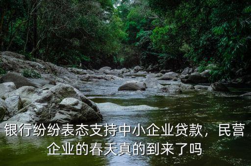 銀行紛紛表態(tài)支持中小企業(yè)貸款，民營企業(yè)的春天真的到來了嗎