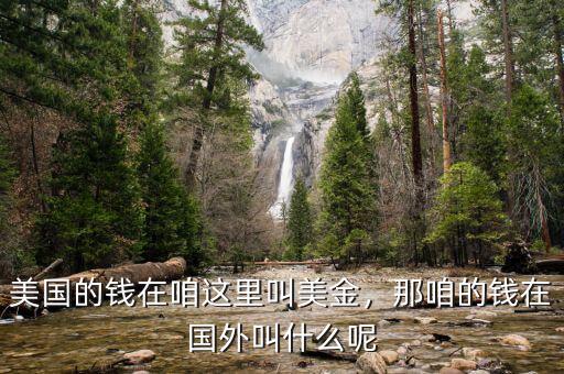 美國的錢在咱這里叫美金，那咱的錢在國外叫什么呢