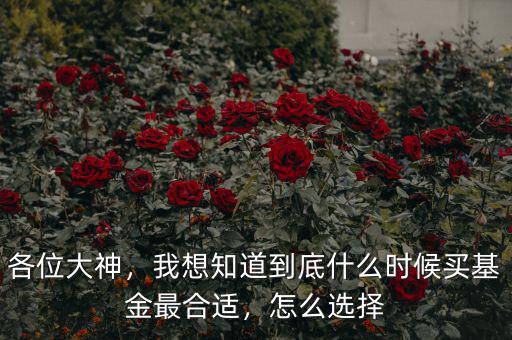 各位大神，我想知道到底什么時(shí)候買(mǎi)基金最合適，怎么選擇