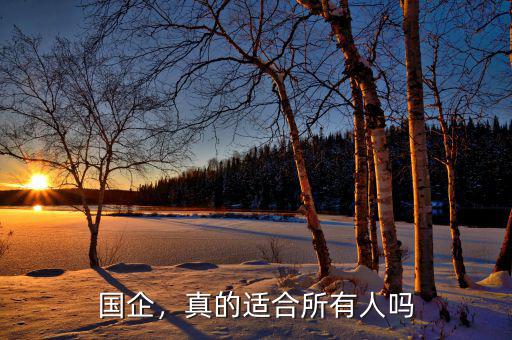 國(guó)企，真的適合所有人嗎