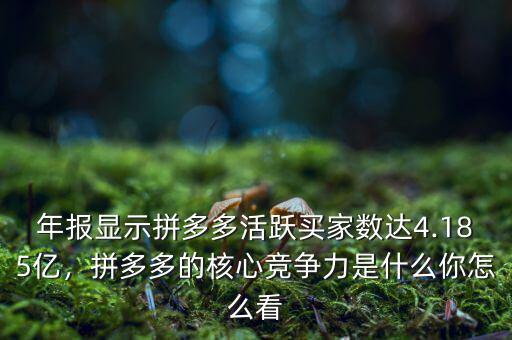 年報顯示拼多多活躍買家數(shù)達(dá)4.185億，拼多多的核心競爭力是什么你怎么看