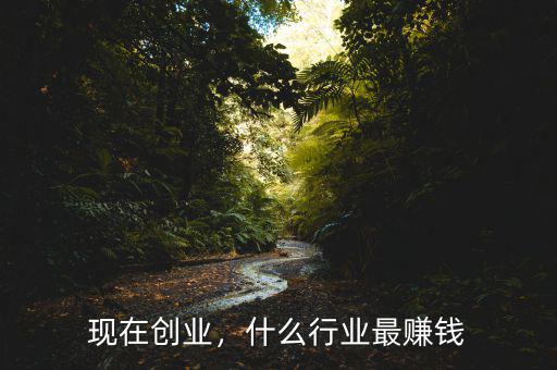 現(xiàn)在創(chuàng)業(yè)，什么行業(yè)最賺錢