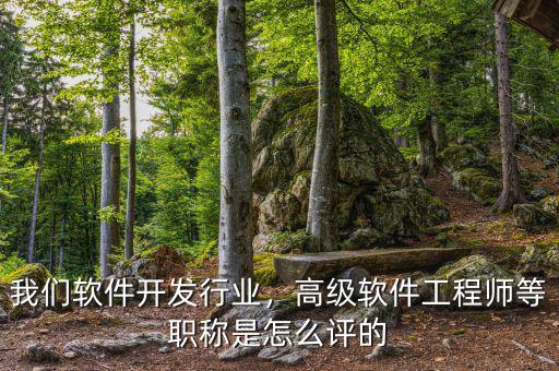 我們軟件開發(fā)行業(yè)，高級軟件工程師等職稱是怎么評的