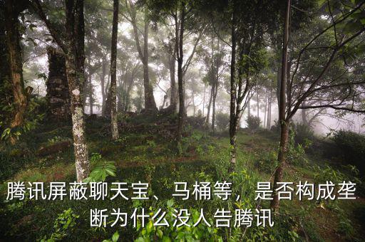 騰訊屏蔽聊天寶、馬桶等，是否構(gòu)成壟斷為什么沒人告騰訊