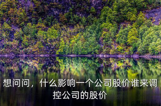 想問(wèn)問(wèn)，什么影響一個(gè)公司股價(jià)誰(shuí)來(lái)調(diào)控公司的股價(jià)
