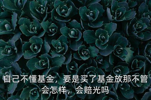 自己不懂基金，要是買了基金放那不管會(huì)怎樣，會(huì)賠光嗎