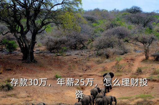 存款30萬(wàn)，年薪25萬(wàn)，怎么理財(cái)投資