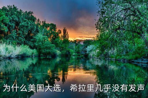 為什么美國(guó)大選，希拉里幾乎沒(méi)有發(fā)聲