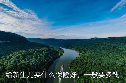 給新生兒買什么保險(xiǎn)好，一般要多錢