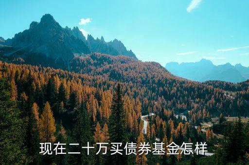 現(xiàn)在二十萬(wàn)買債券基金怎樣