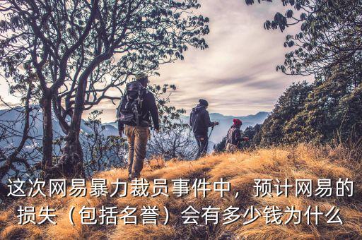 這次網(wǎng)易暴力裁員事件中，預(yù)計網(wǎng)易的損失（包括名譽(yù)）會有多少錢為什么