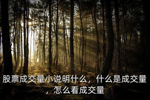 股票成交量小說(shuō)明什么，什么是成交量，怎么看成交量
