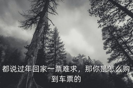 都說過年回家一票難求，那你是怎么購到車票的