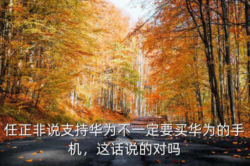 任正非說支持華為不一定要買華為的手機(jī)，這話說的對(duì)嗎