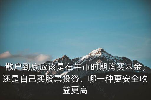 散戶到底應(yīng)該是在牛市時(shí)期購(gòu)買基金，還是自己買股票投資，哪一種更安全收益更高