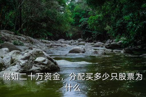 假如二十萬資金，分配買多少只股票為什么