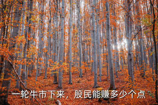 一輪牛市下來，股民能賺多少個(gè)點(diǎn)