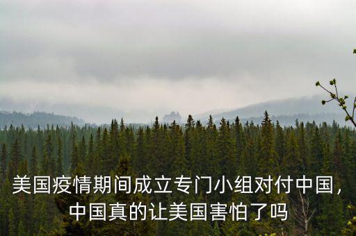 美國疫情期間成立專門小組對付中國，中國真的讓美國害怕了嗎