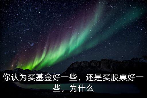 你認(rèn)為買基金好一些，還是買股票好一些，為什么