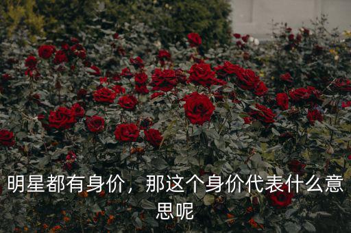明星都有身價，那這個身價代表什么意思呢