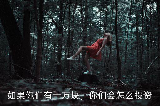 如果你們有一萬(wàn)塊，你們會(huì)怎么投資